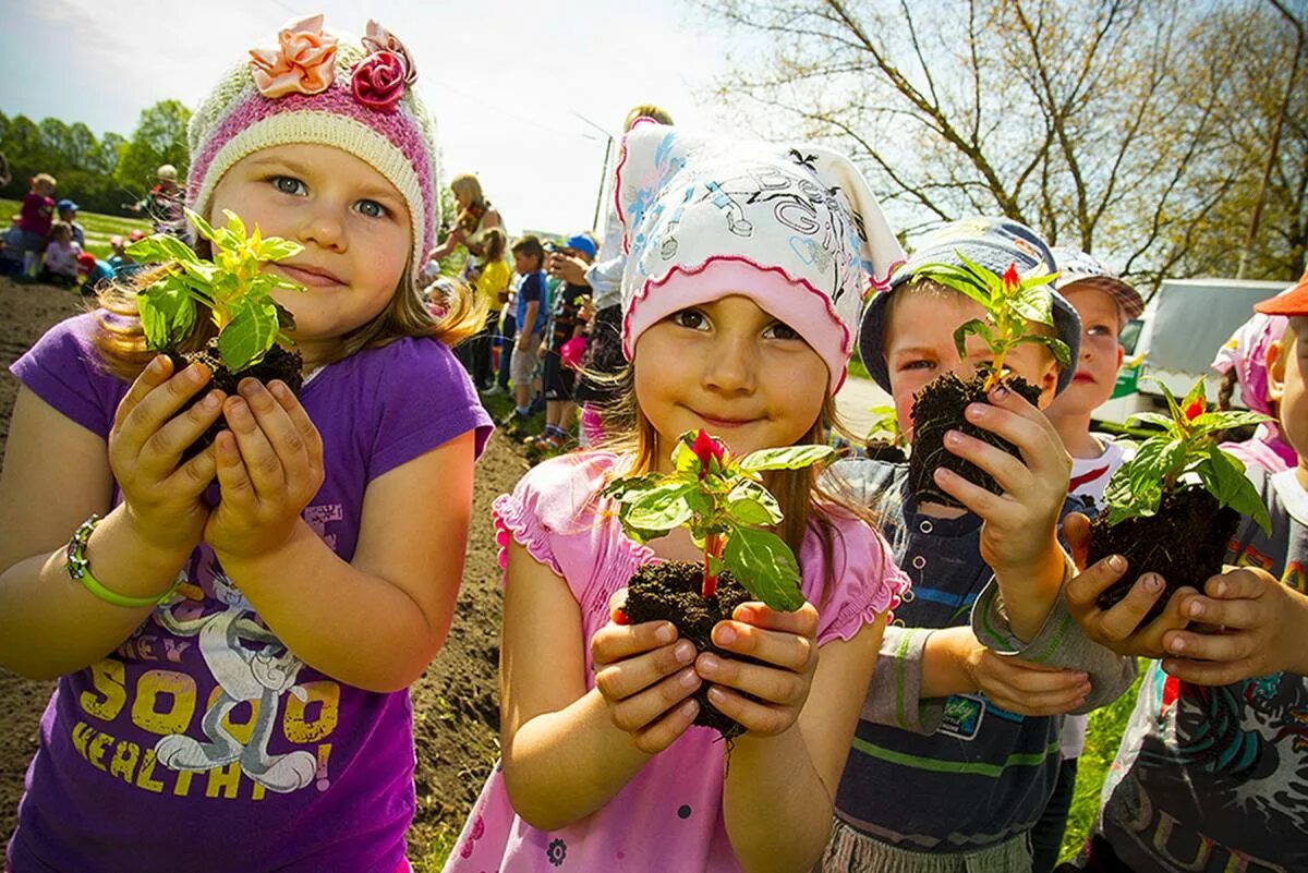 Детям об экологии. Дети сажают цветы. Растения для детей. Праздник растений. Дети вырастили цветы
