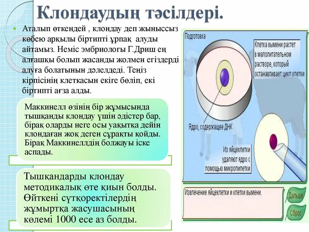 Алу деген. Клондау фото. Клонирование Долли схема. Клондау трансформер. Долли клондаган.