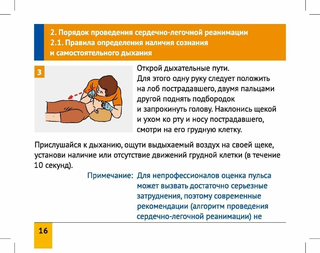 Ошибки при проведении сердечно легочной. Порядок проведения слр сердечно-легочной реанимации кратко. правило при оказании сердечно-легочной реанимации. каков правильный порядок проведения сердечно-легочной реанимации?. порядок действий при оказании сердечно легочной реанимации.