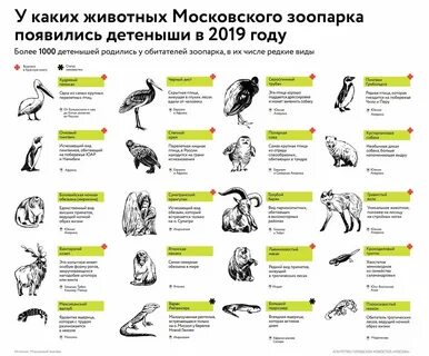 Сколько животных получили имена благодаря активному гражданину