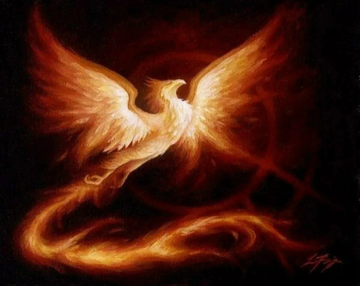 Феникс восстание из пепла. Симург птица феникс. Где phoenix. Птица феникс референс. Где phoenix.