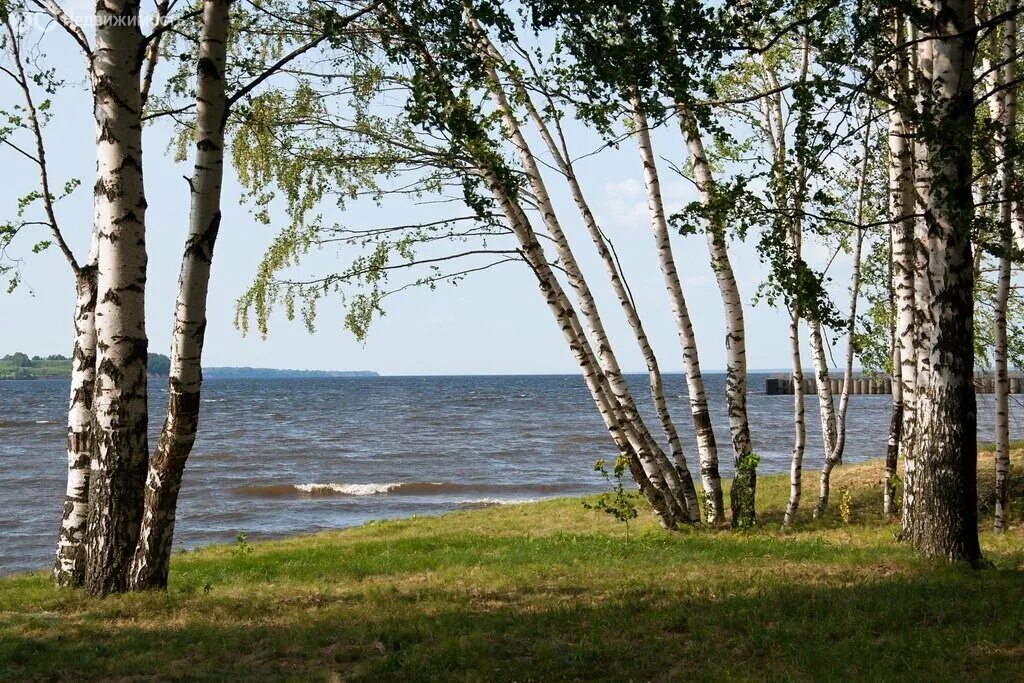 Горьковское море нижегородская область. Горьковское море нижегородская область. Горьковское где. Карта глубин горьковское водохранилище юрьевец. Горьковское водохранилище рыба.