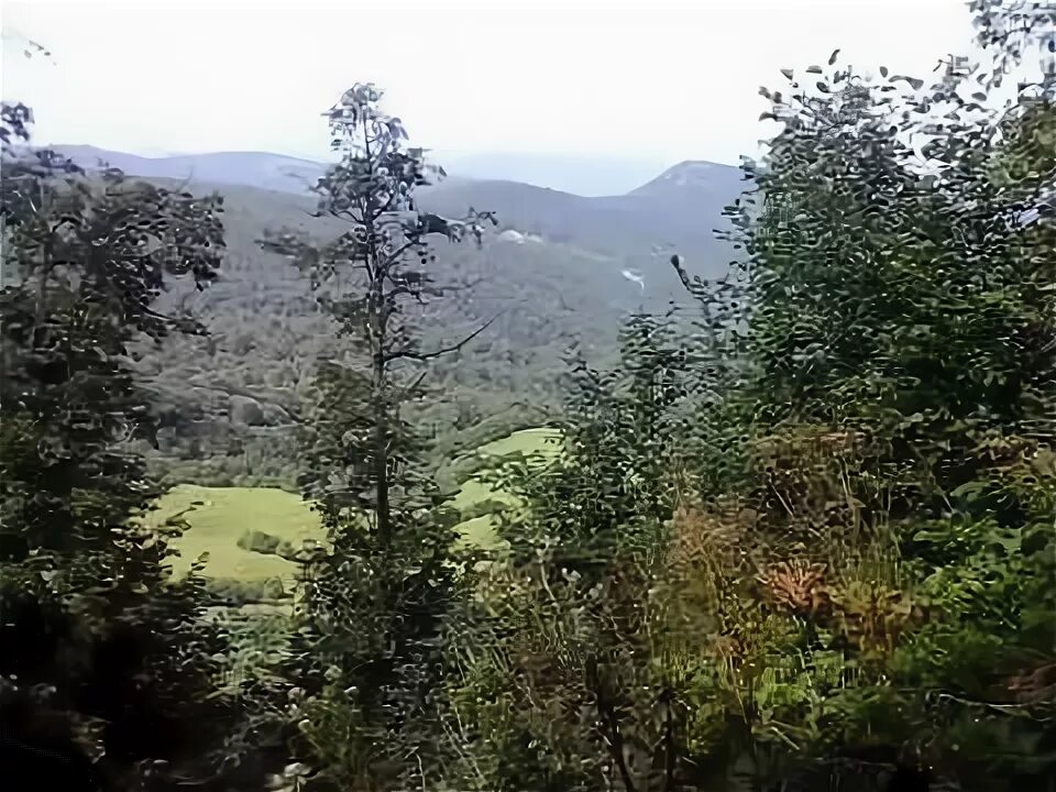 Село симсир чеченская республика. Симсир. Село симсир чеченская республика. Байтарки село чечня. Байтарки ножай юртовский район.