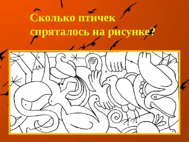 Сколько птиц спряталось на картинке. Сколько животных спряталось. Птицы спрятались. Сколько животных спрятано на картинке.