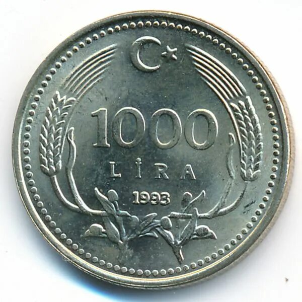 Тысяча лир сколько в рублях. 1000 Лир 1993. 1000 Лир Турция. 1000 Турецких лир монета. 1000 Турецких лир в рублях.
