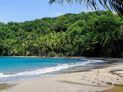 Dominica
