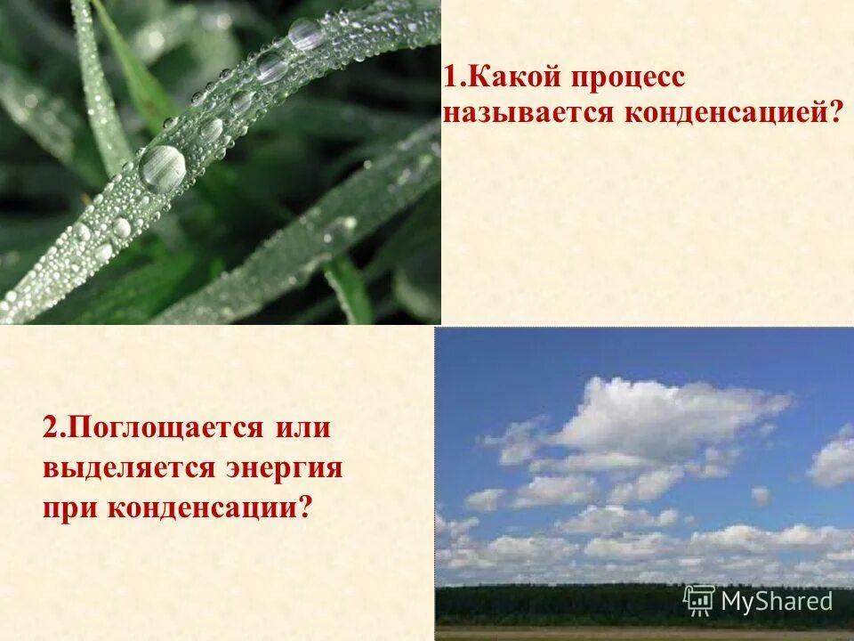 Парообразование физика. Процессы испарения и конденсации. Какой процесс называется парообразованием. Какой процесс называется парообразованием. Какие явления называются испарением.