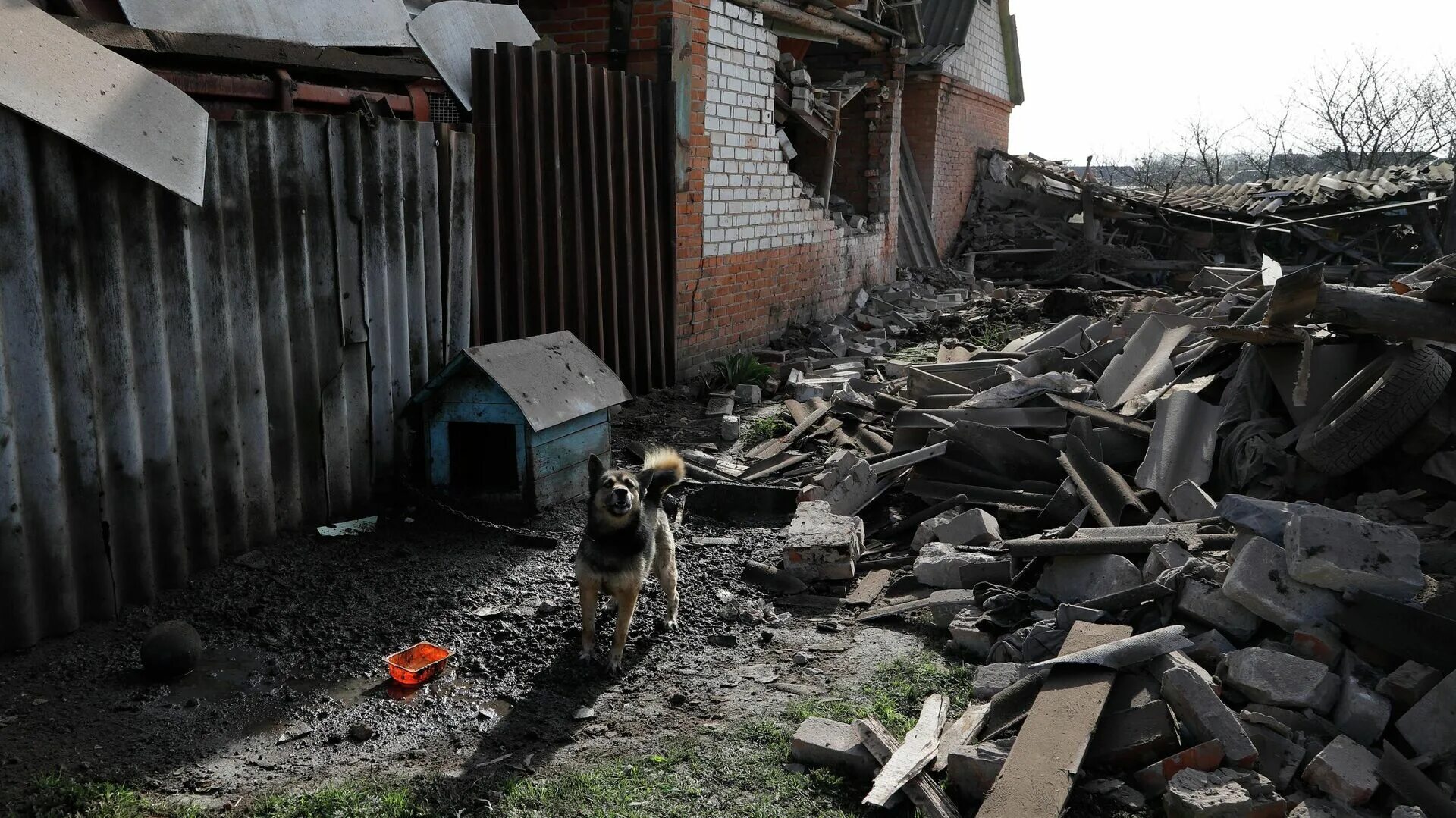 Обстрел областей со стороны украины сегодня. Село Головчино Белгородской области обстрел. Белгород Головчино обстреляли. Головчино Белгородская область обстреляли ВСУ. Обстрел села Головчино.