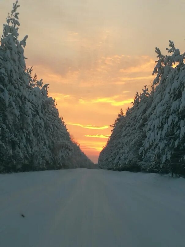Линево омск. Линево шарыпово.