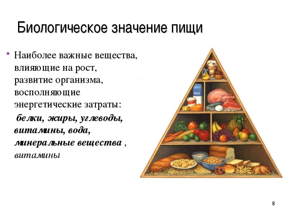 Роль здорового питания. Значение здорового питания. Биологическое значение пищи. Состав здорового питания. Питание 5 энергий