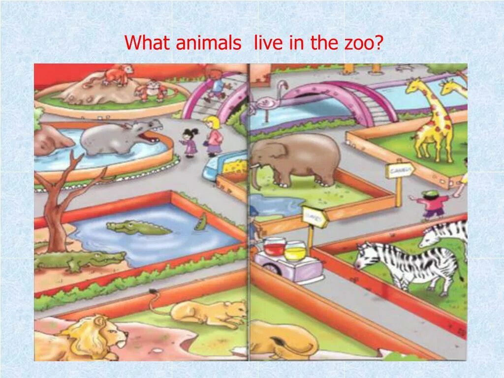 Тема at the Zoo. Презентация по английскому Zoo. Animals in the City игра. Игра Lively Zoo.