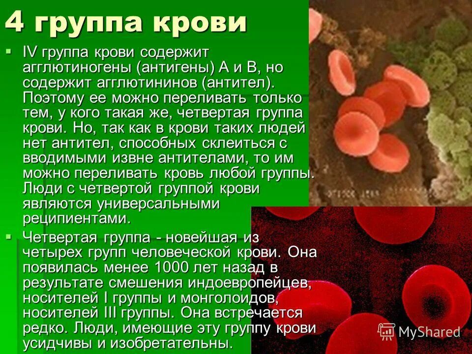 1 Положительная группа крови редкая. Самая редкая группа крови. 4 Группа крови. 4 Группа крови редкая.