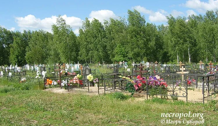 Хмельницкий кладбище Шаровечка. Малино кладбище. Кладбище новый Актанышбаш. Кладбище в Хмельницком. Новое кладбище телефон