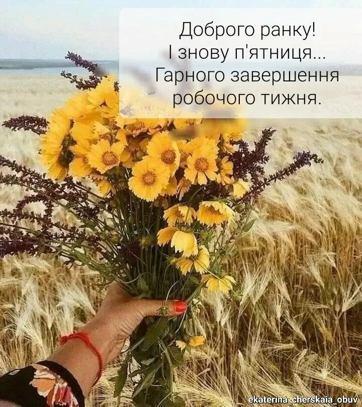 Здравствуй август доброе утро с последним месяцем лета. Мой счастливый август. С первым августовским утром открытки. Ну здравствуй август. Счастливого августа гиф.