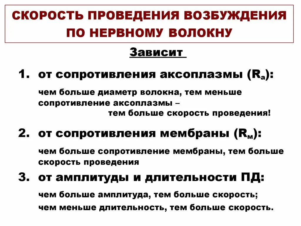 Скорость проведения возбуждения по нервным волокнам зависит от. Скорость проведения возбуждения по нервному волокну зависит. Факторы, влияющие на скорость распространения возбуждения. Скорость распространения возбуждения по нервному волокну зависит от.