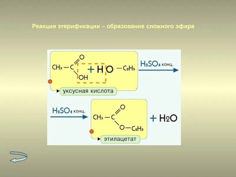 Уксусная кислота h реакция. Реакция этерификации карбоновых кислот. Реакция этерификации образование сложных эфиров. Этерификация аминокислот механизм. Этерификация двухатомного спирта.