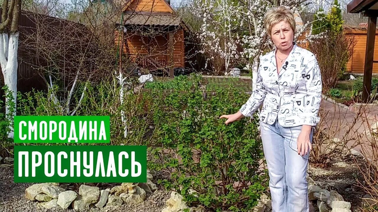 Садовый гид с ларисой зарубиной. Садовый гид с ларисой зарубиной последние 2022. Садовый гид дзен. Садовый гид с ларисой зарубиной. Садовый гид с ларисой зарубиной.
