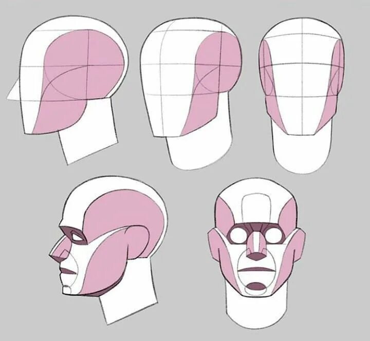 Head forms. Анатомия головы для рисования. Голова референс. Рисование головы. Строение головы референсы.