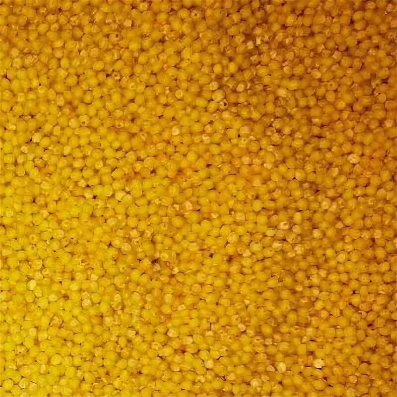 Крашеное пшено. Millet крупа. Покраска пшена для поделок. Крашеное пшено. Что можно сделать с пшеном.