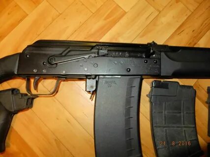 Сайга со