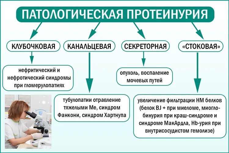 Белка Бенс-Джонса. Протеинурия Бенс-Джонса. Моча Бенс Джонса. Определение белка Бенс-Джонса в моче методика.