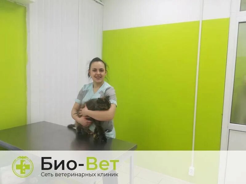 Ветклиника биовет. Биовет марьино. Ветклиника на 1й пушкарской. Биовет марьино. Биовет теплый стан 5к4.