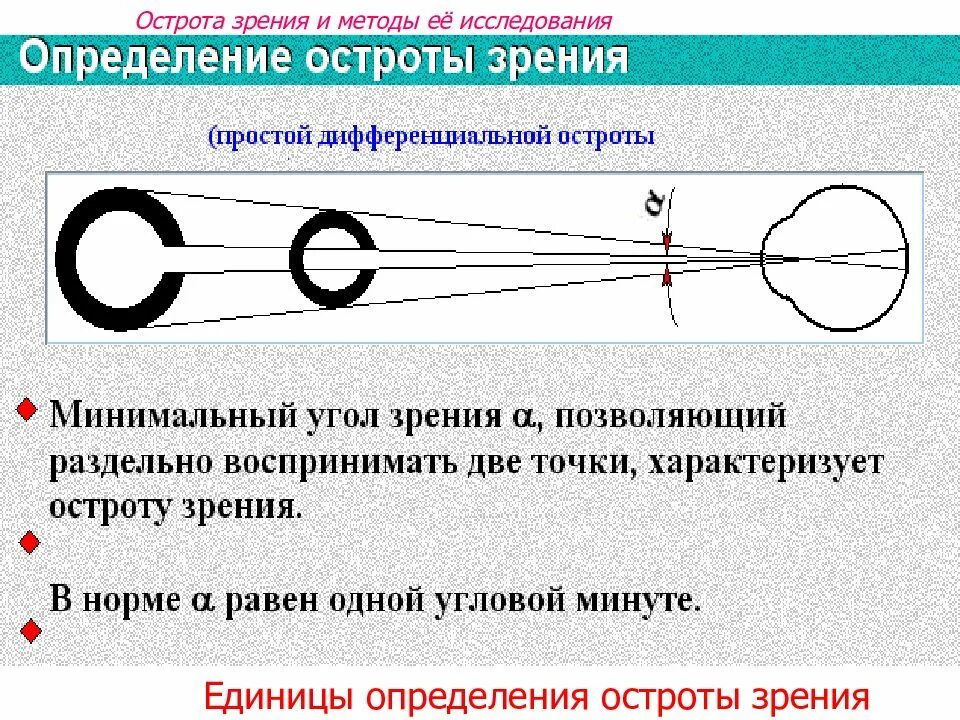 Точка лежащая зрение. Острота зрения. Методы исследования остроты зрения. Понятие об остроте зрения. Способы определения остроты зрения.