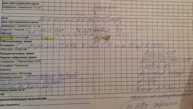 Как проходит протокол эко. Протокол эко. лист протокола эко. короткий протокол эко. что такое короткий протокол при эко.