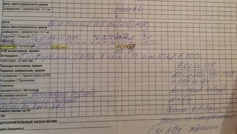 Криоперенос поддержка. Протокол эко. Короткий протокол при эко. Схема короткого протокола эко. Лист протокола эко.