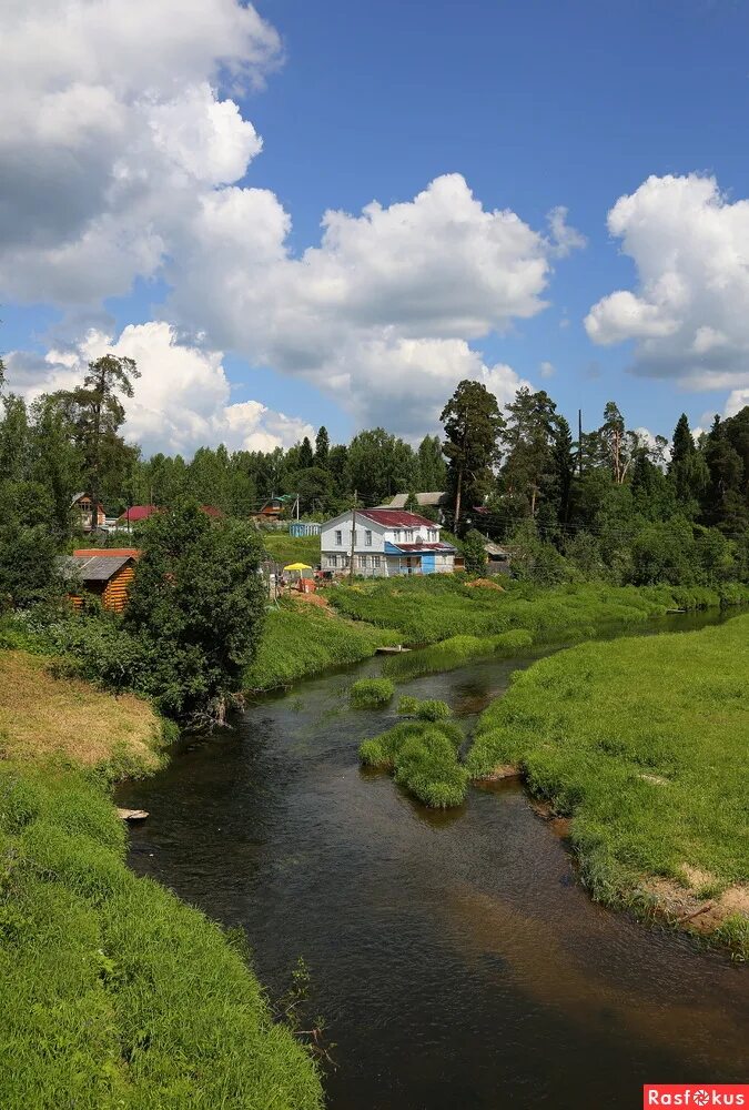 Речка покша. Река Покша Кострома. Река Покша Костромская область. Река Покша. Река Покша Андрейково.