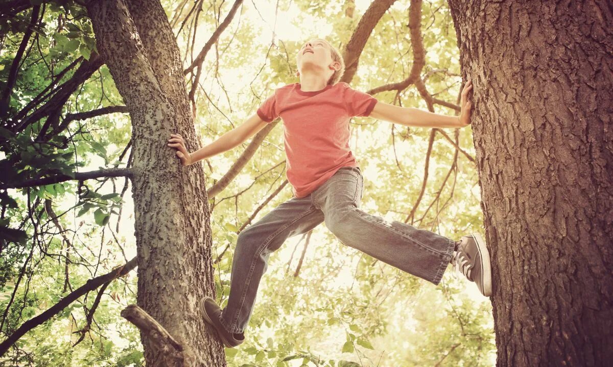 Children like going to the. Взбираться на дерево. Дерево для детей. Мальчик залез на дерево. Мальчик карабкается.