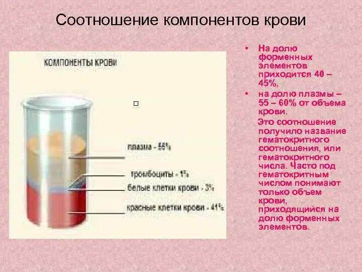 Соотношение элементов крови