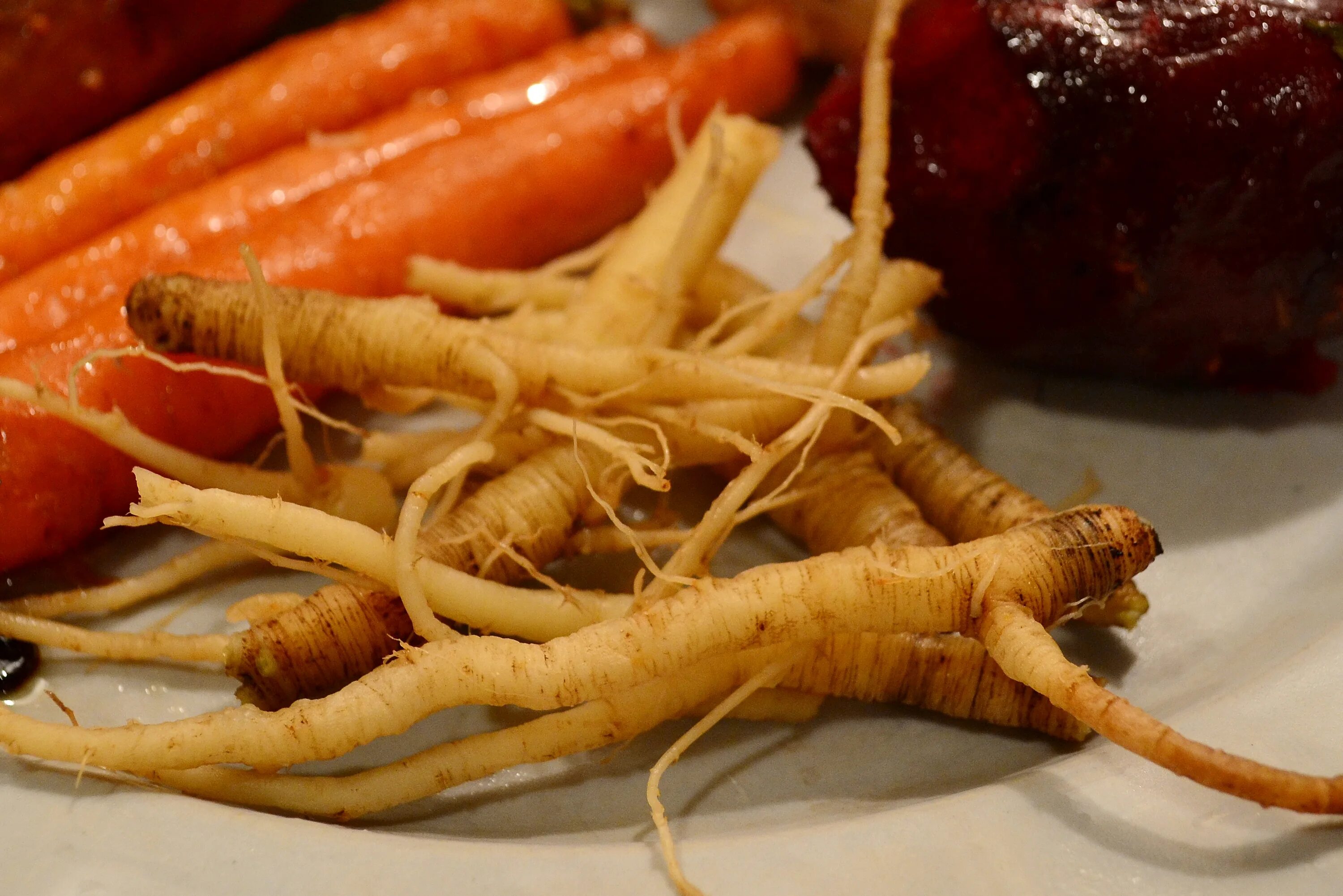 Daucus carota корнеплод. Морковь Дикая корневище. Корнеплод дикой морковки. Морковь Дикая. Морковь дикая купить