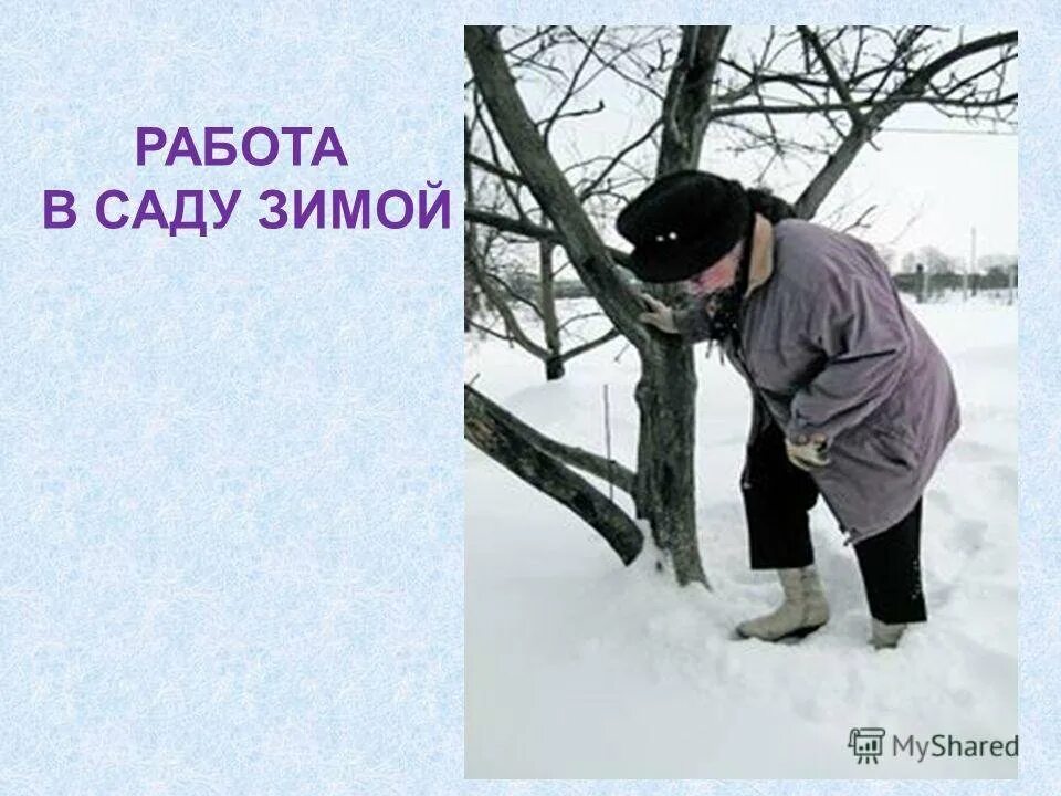 Работа в зим. Труд зимой. занятия людей зимой. зимний труд людей. труд зимой картинки для детей.