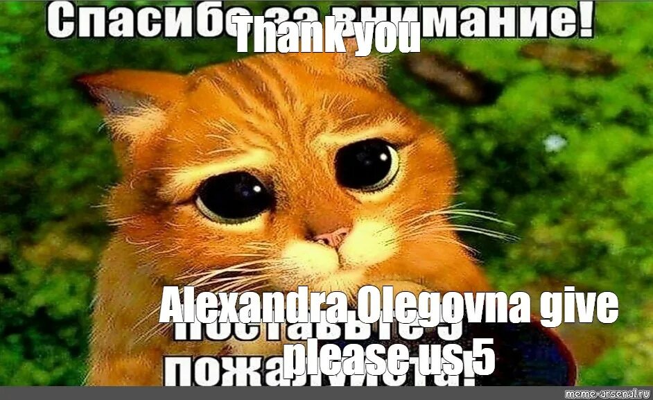 Какой то пожалуйста