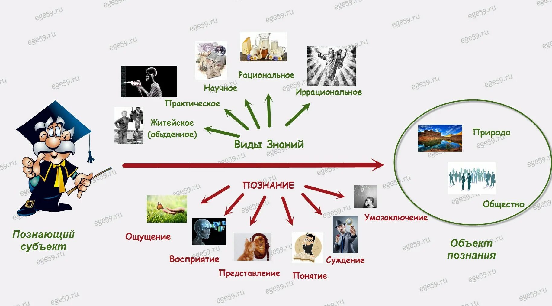 Знание это Обществознание ЕГЭ. Виды знаний Обществознание ЕГЭ. Формы знаний Обществознание ЕГЭ. Виды познания Обществознание ЕГЭ