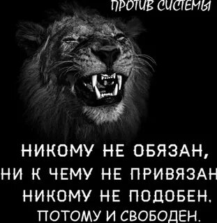 Никого без мата