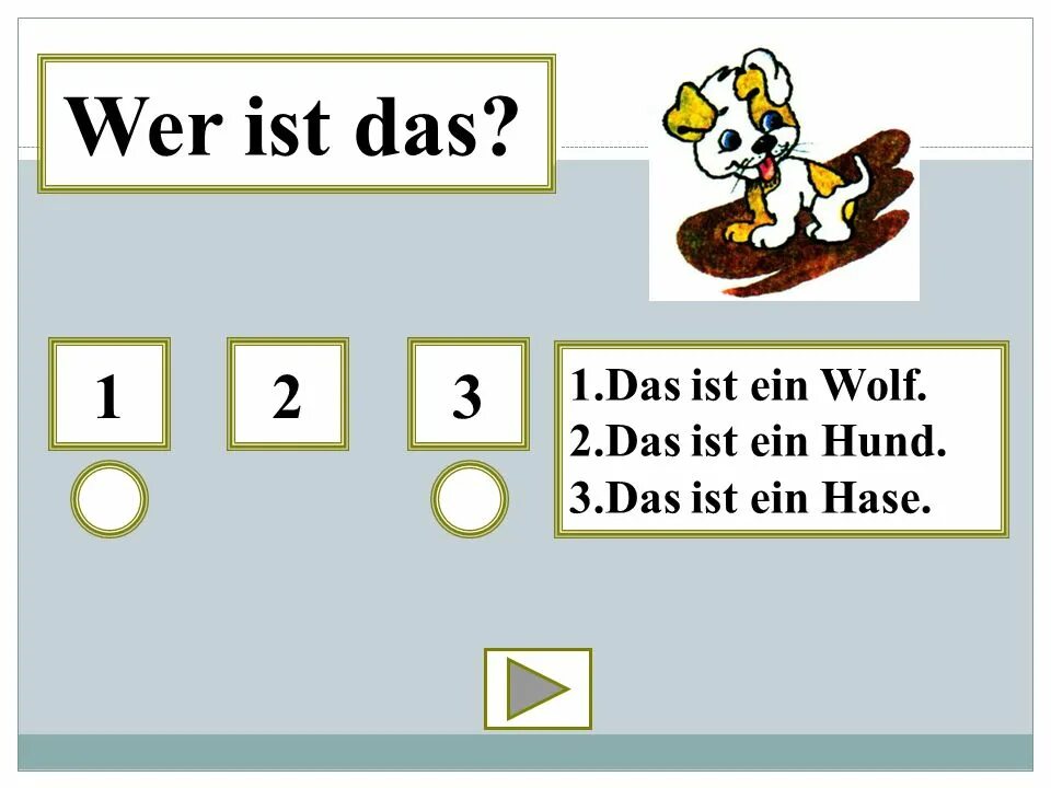 Аэрофотоаппарат, 1886. Заполни пропуски. Leica ads 100. Аэрофотоаппарат носители. 3 das 1.
