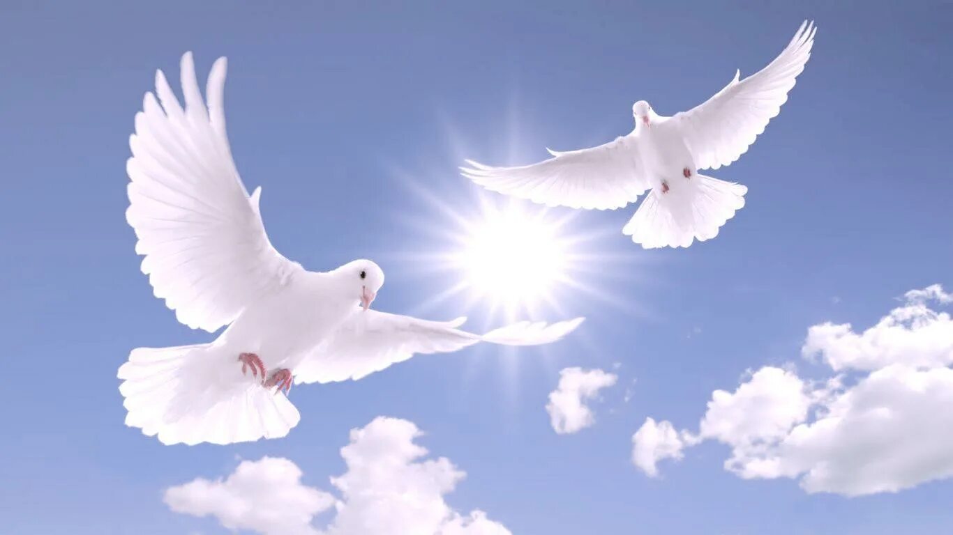 Бесплатные картинки с мирным небом