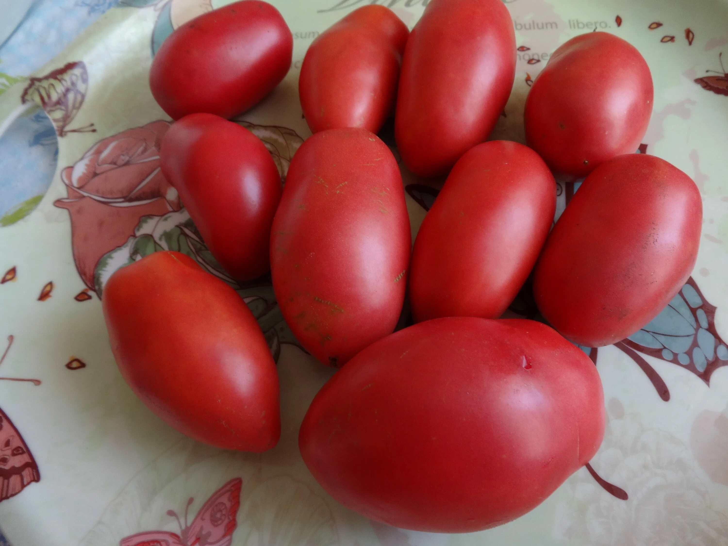 Томат перцевидный низкорослый. Семена томата перцевидный розовый. Томат перцевидный штамбовый. Перцевидный малиновый. Перцевидный малиновый.