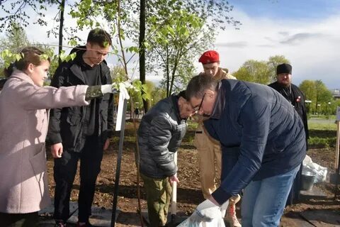 Последние новости во владимире