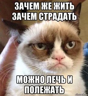 Зачем я жил