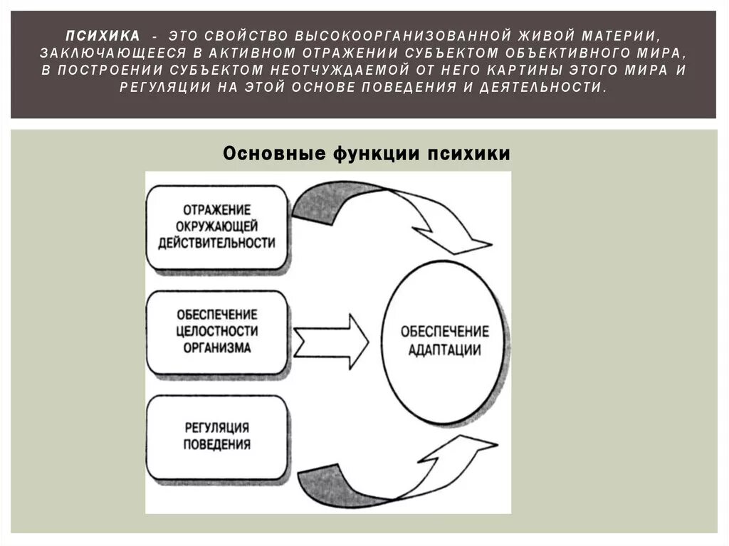 Урок психика и поведение человека. Определение психики человека. Психика это в психологии. Психика краткое определение. Психика это в психологии определение.