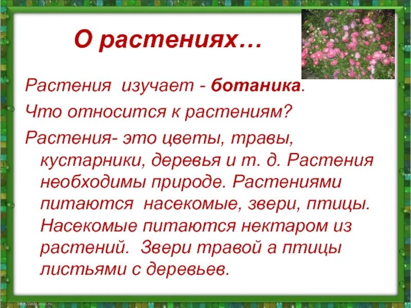 Что изучает ботаника. Ботаника изучает растения. Что изучает ботаника 5 класс. Сообщение что изучает ботаника.