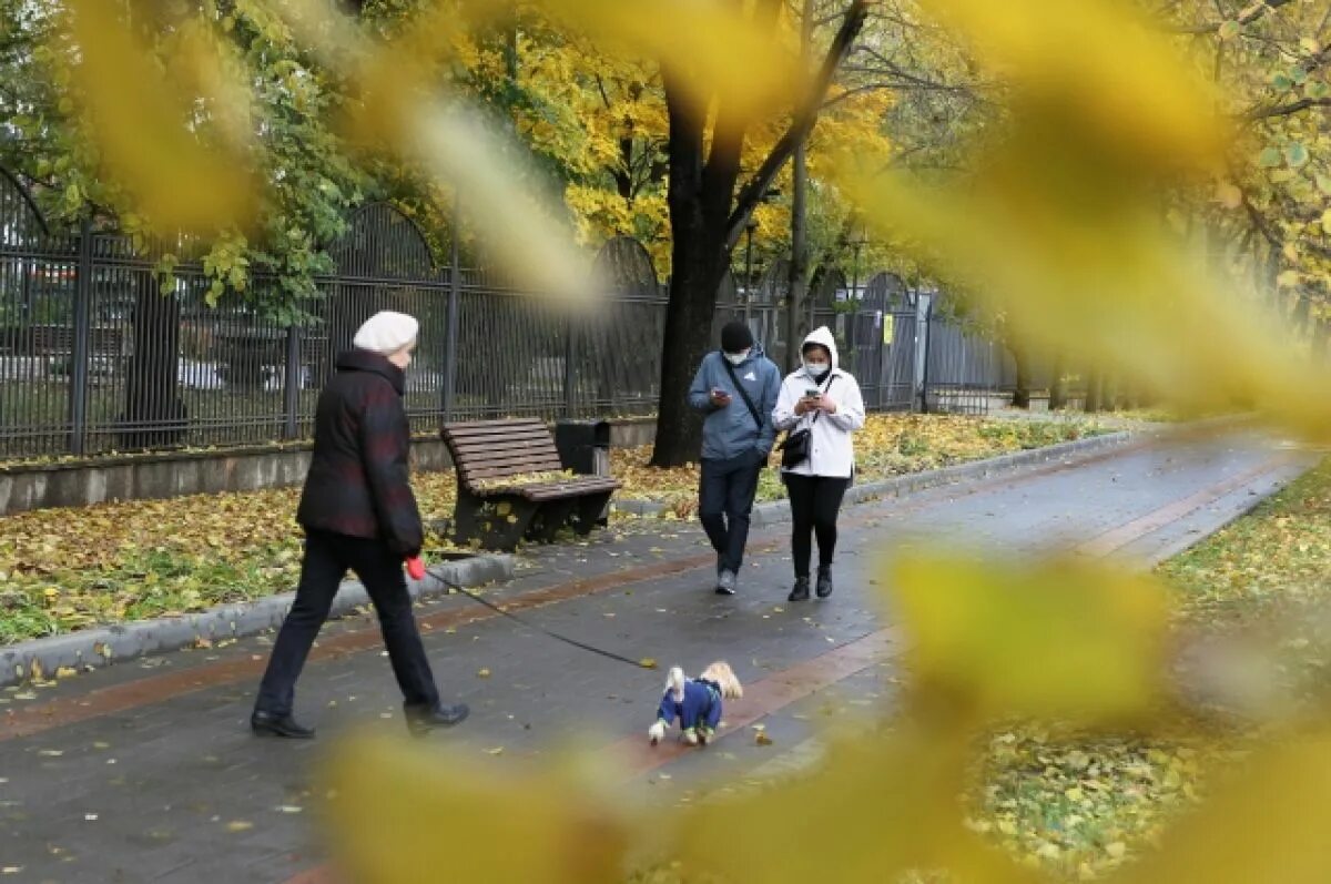 Https aif ru society. И неясно прохожим в этот день непогожий. Ноябрь в Москве ноябрь в Ставрополе фотоприкол с негритятами.