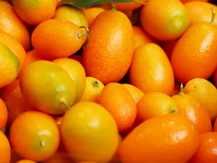 Маленький фрукт кумкват