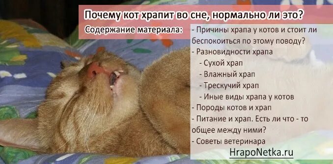 Что значит сопеть
