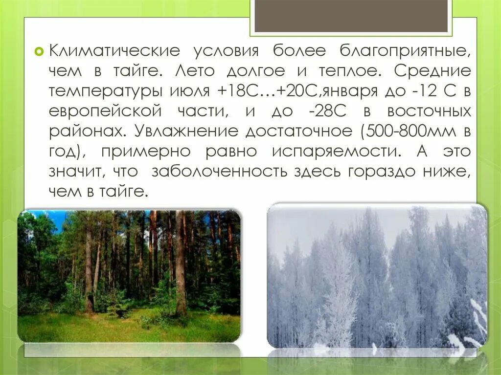 Средняя температура в тайге летом. Леса России Тайга климатические условия. Климатические условия тайги. Средняя температура летом в тайге. Средние температуры летом и зимой в тайге.