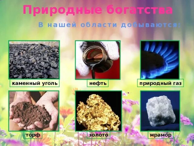 Нефть является полезным ископаемым. Нефть является полезным ископаемым