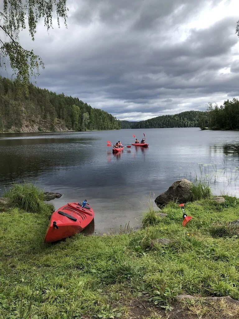 Туроператор по карелии. Логотип карелии умные решения. Карелия турфирма. Турагентство karelia-line. Туроператоры карелии.